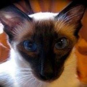 Meet your Posher, Debra